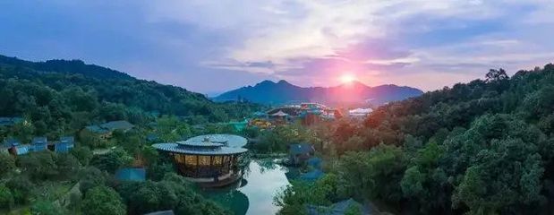 舟山航空文旅新篇章 保利航空小鎮開元森泊度假樂園成功簽約，擘畫海島旅游新藍圖